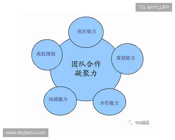 广州乒乓球队个人能力提升之路与团队协作的完美结合探讨